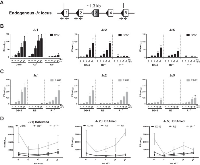 FIG 3