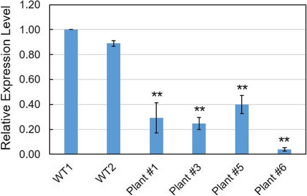 Fig. 4