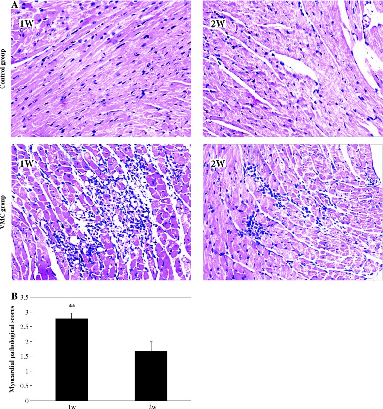 Fig. 1. A