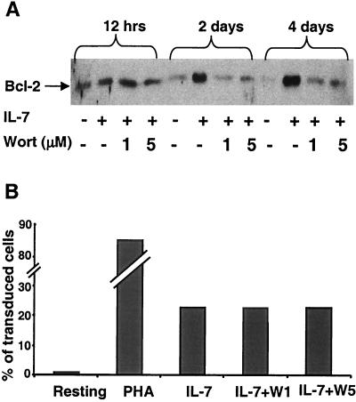 FIG. 8.