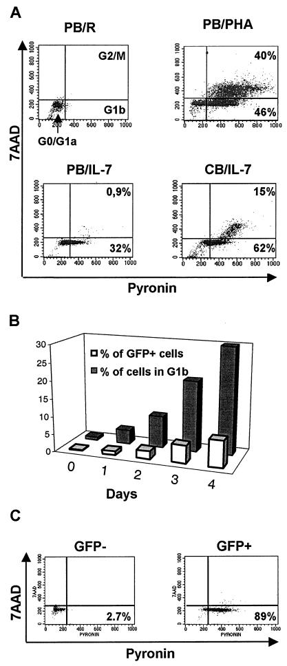 FIG. 6.