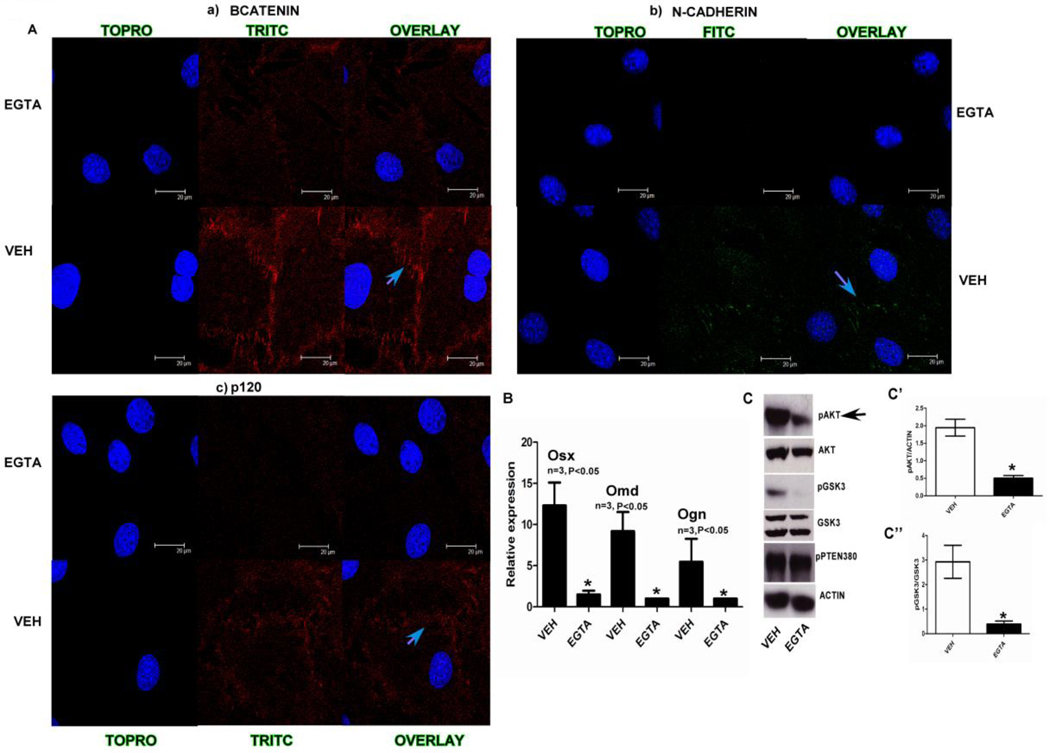 FIG. 3)