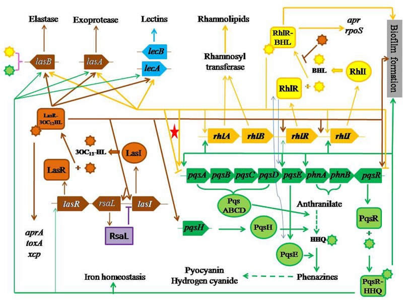 FIGURE 1