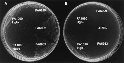 FIG. 5