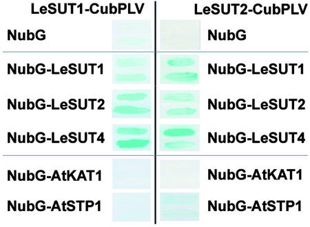 Figure 4.