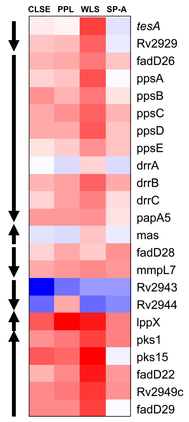 Fig. 4