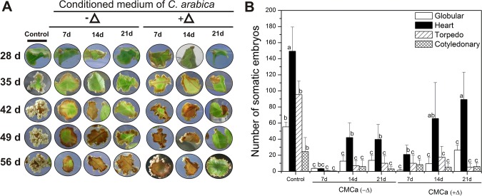 Fig 5