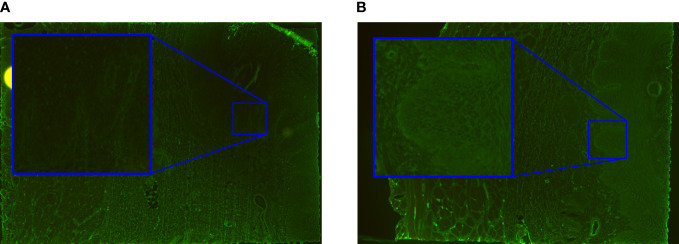 Figure 6