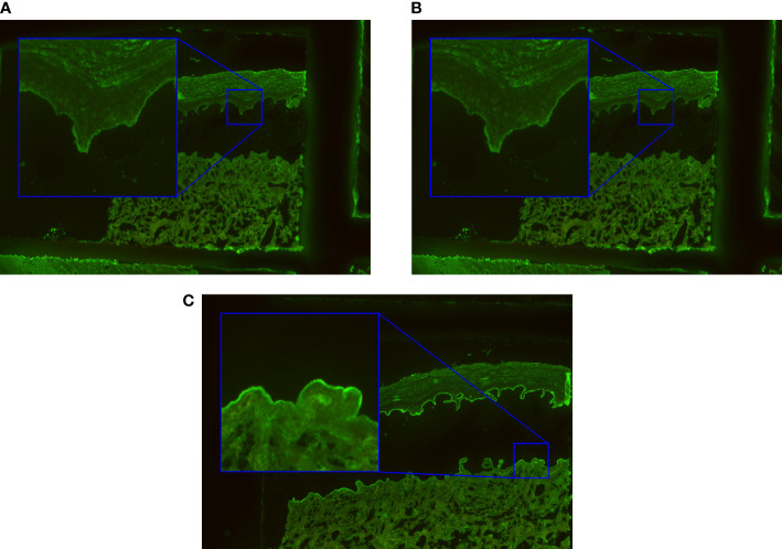 Figure 5