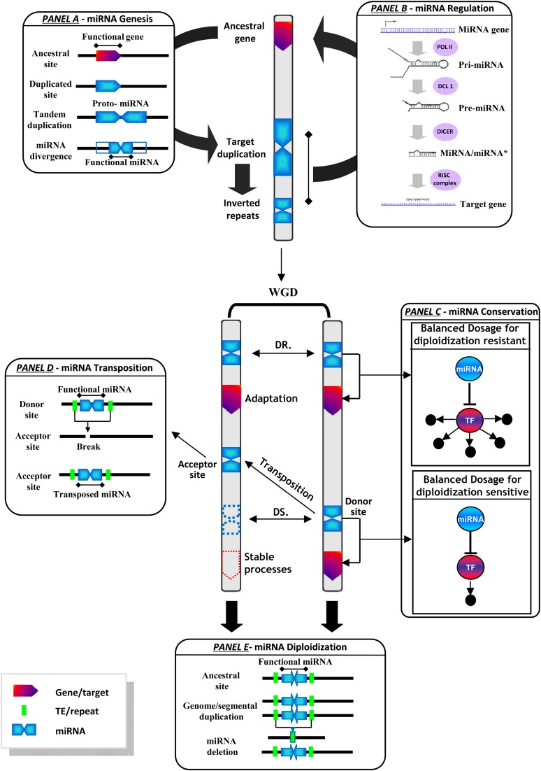 Figure 6.