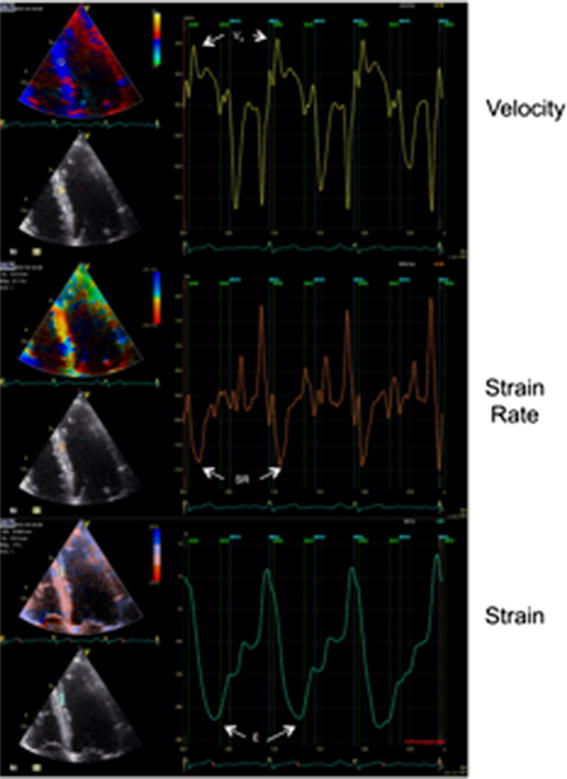 Fig. 3