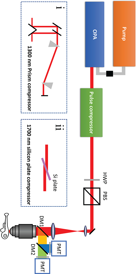 Extended Data Fig. 7