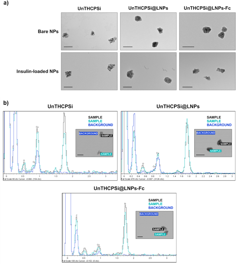 Fig. 3