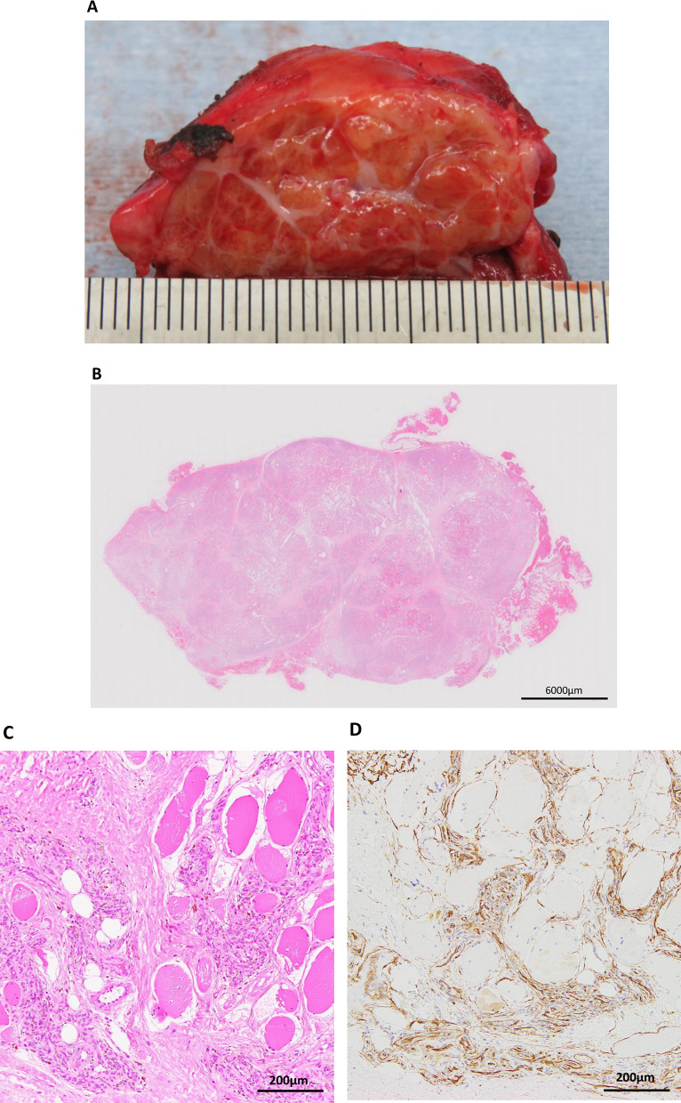 Fig. 3