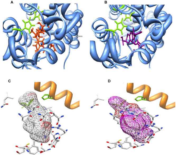 Figure 4.