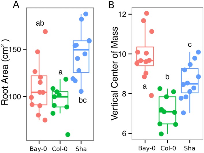 Figure 3—figure supplement 1.