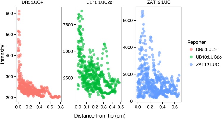 Figure 4—figure supplement 2.