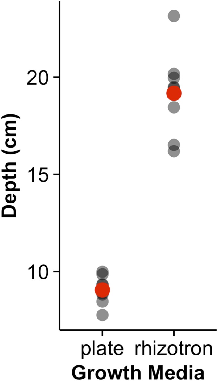 Figure 8—figure supplement 1.