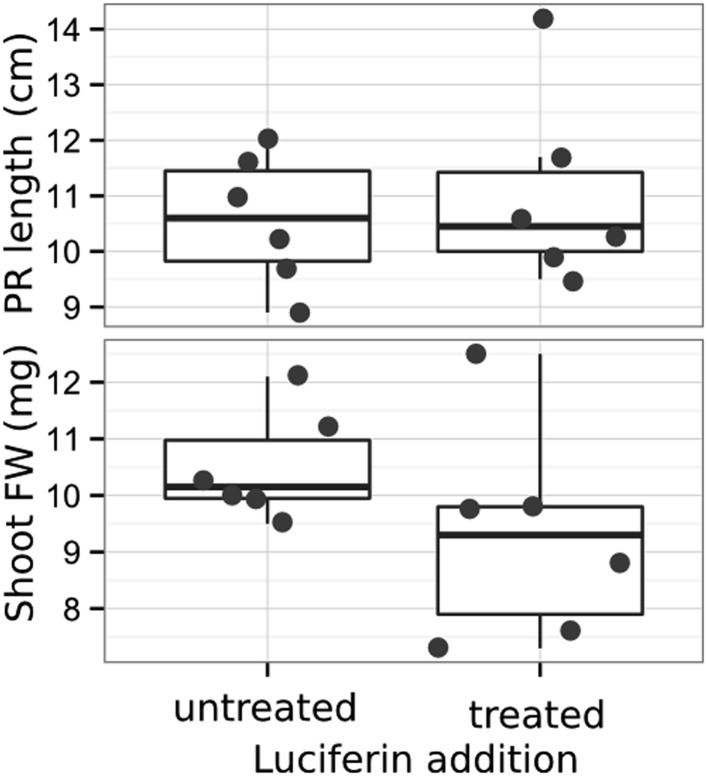 Figure 1—figure supplement 4.