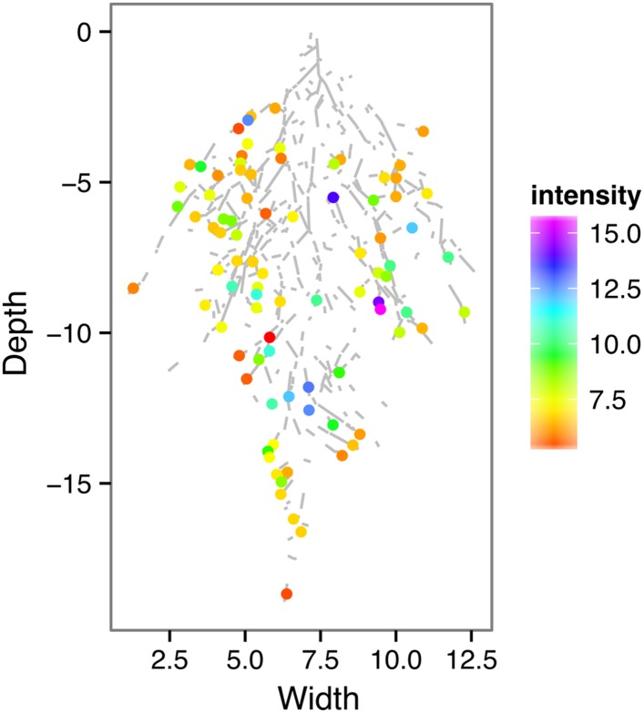 Figure 4—figure supplement 1.