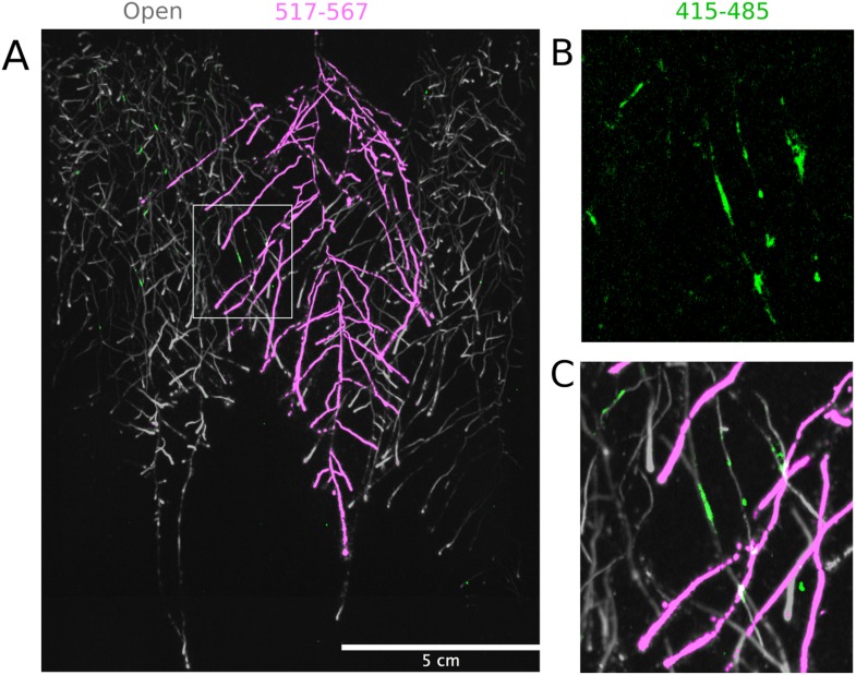 Figure 4—figure supplement 4.