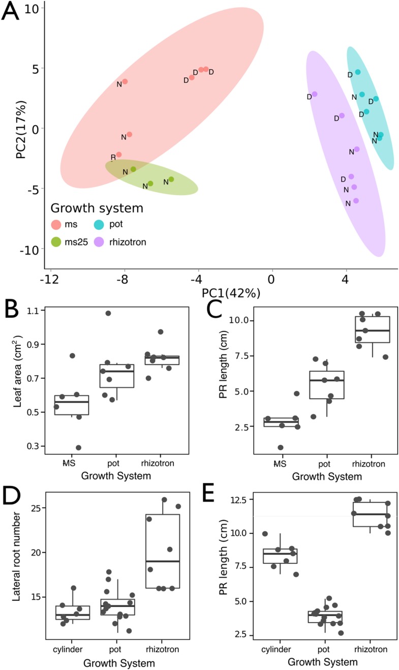 Figure 1—figure supplement 1.