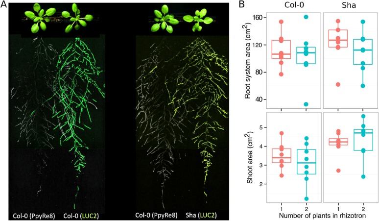 Figure 4—figure supplement 3.