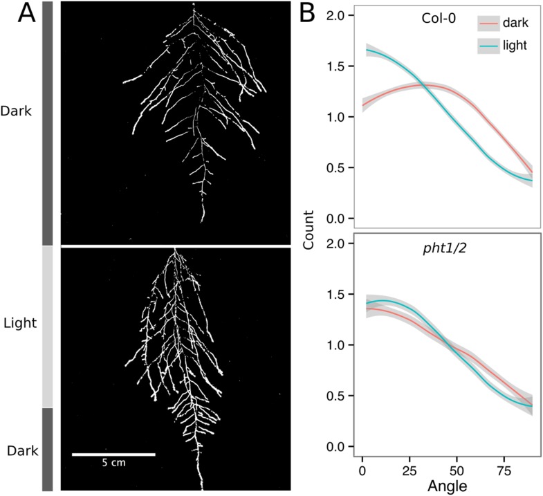 Figure 6—figure supplement 3.