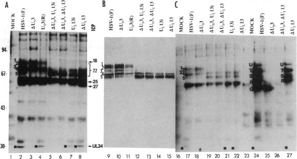 graphic file with name pnas01090-0035-b.jpg