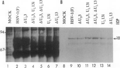 graphic file with name pnas01090-0034-a.jpg