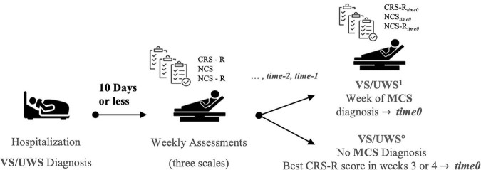 FIGURE 1