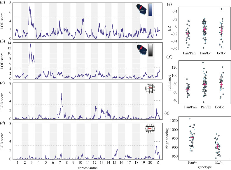 Figure 3. 