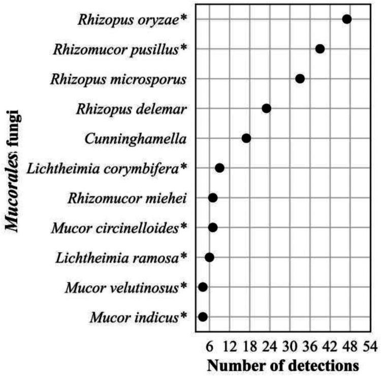 FIG 10