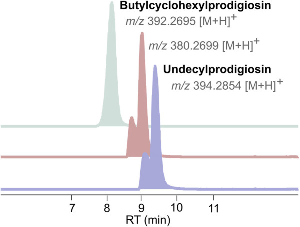 FIGURE 3