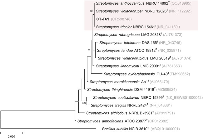 FIGURE 1