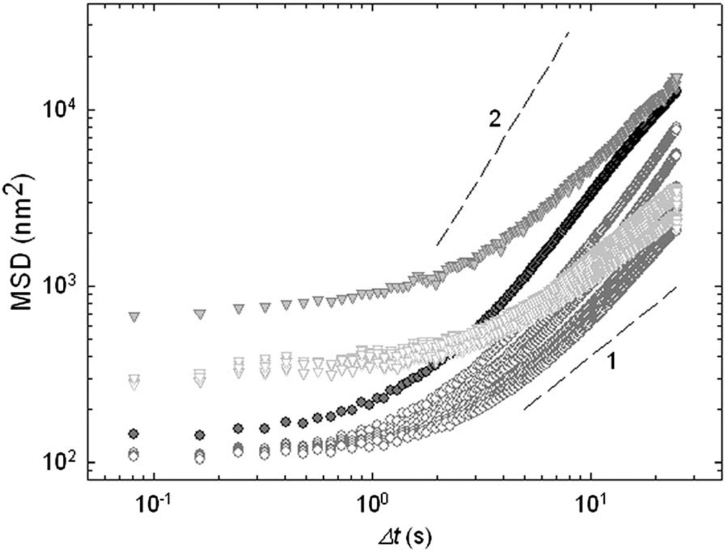 Fig. 6