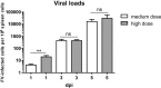 FIG 1