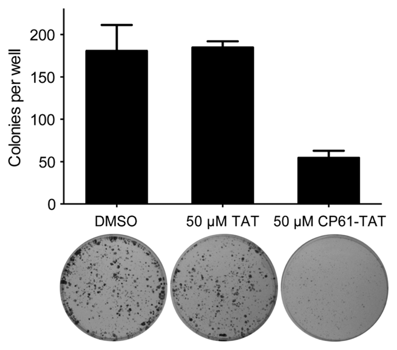 Fig. 9