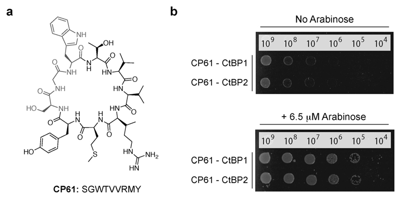 Fig. 3