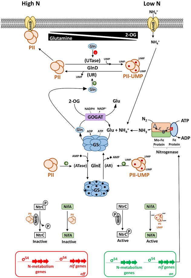 Figure 1.