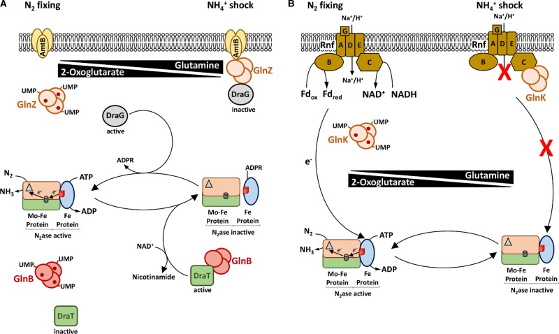 Figure 3.