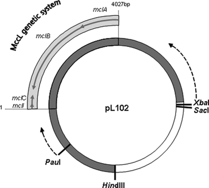 FIG. 1.