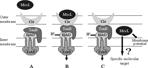 FIG. 6.