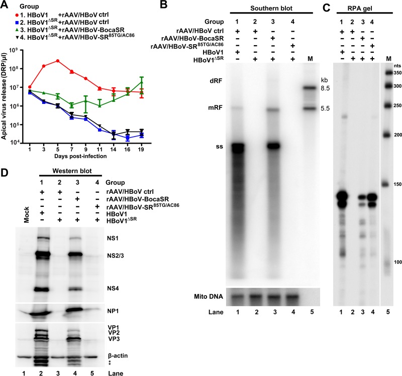 FIG 4