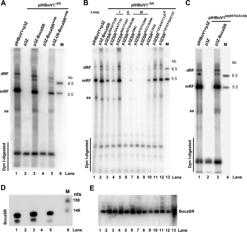 FIG 3