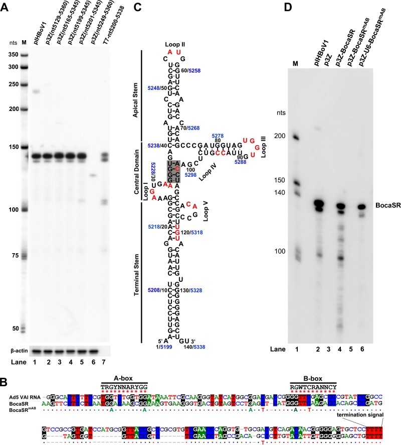 FIG 2