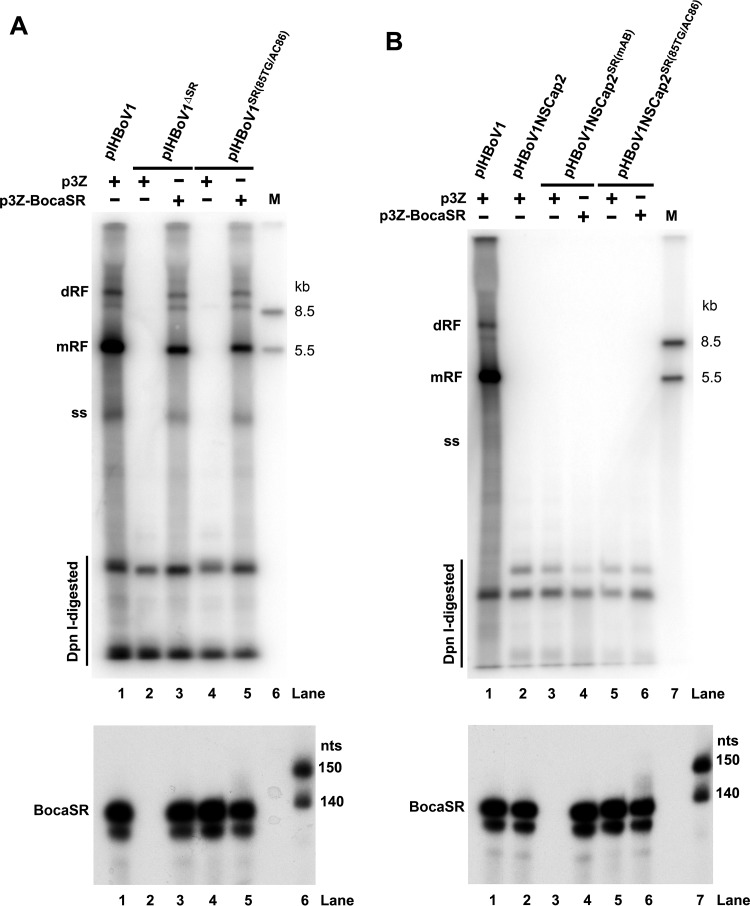 FIG 6