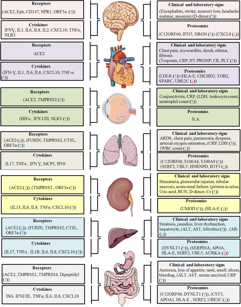 Fig. 2 