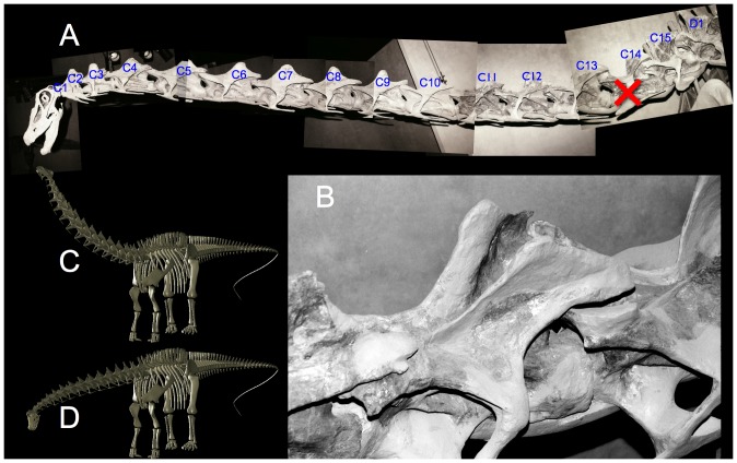 Figure 18