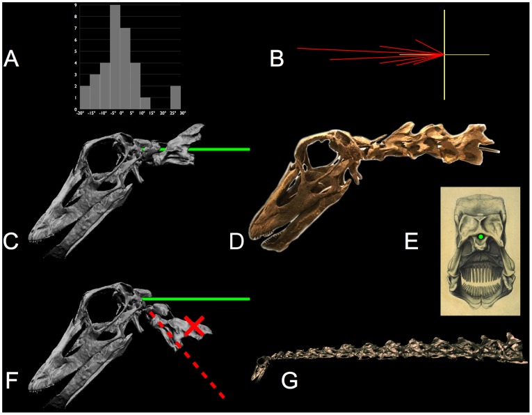 Figure 22